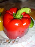 VFL.RU - ваш фотохостинг