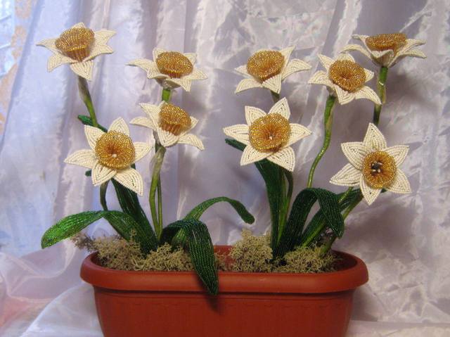 http://images.vfl.ru/ii/1320054491/cfd69610/168121_m.jpg