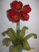 IMG 0012 (4)