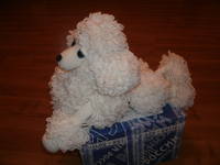 VFL.RU - ваш фотохостинг