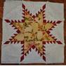 Feathered star Block 1