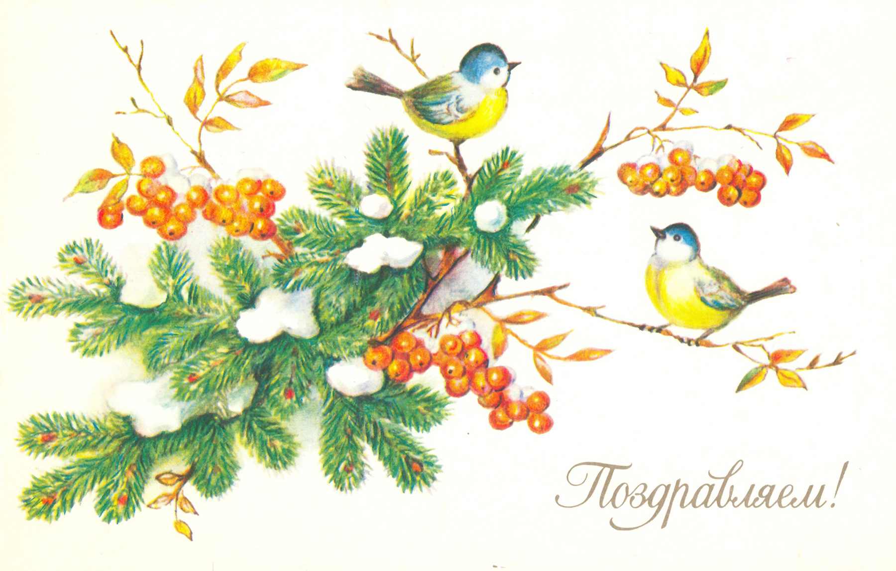 Новогодние открытки.