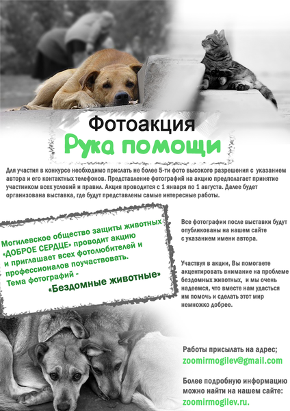 фотоакция copy