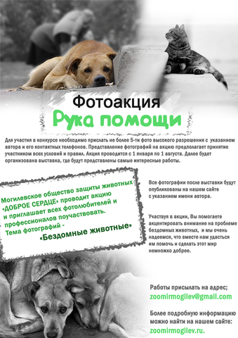 фотоакция copy
