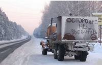VFL.RU - ваш фотохостинг