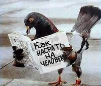 VFL.RU - ваш фотохостинг