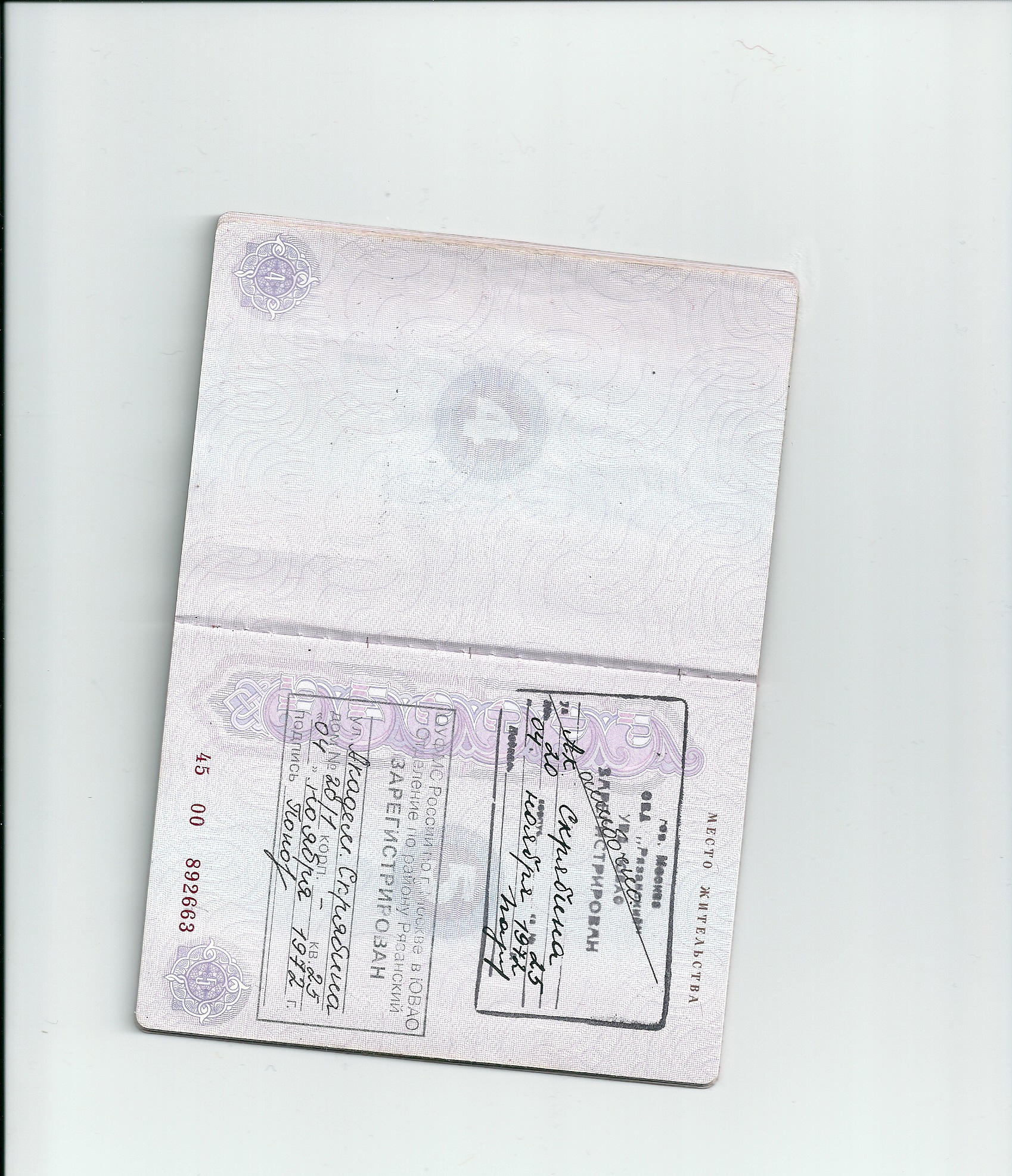 страница паспорта семейное положение пустая фото