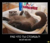 VFL.RU - ваш фотохостинг