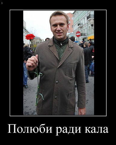 Демотиватор: Навальный - полюби РадиКала. Оппозиция 2012