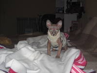 VFL.RU - ваш фотохостинг