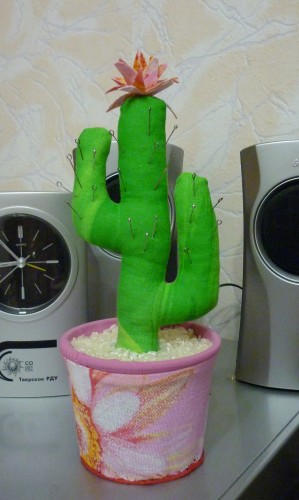кактус