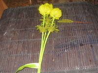 Изображение 116