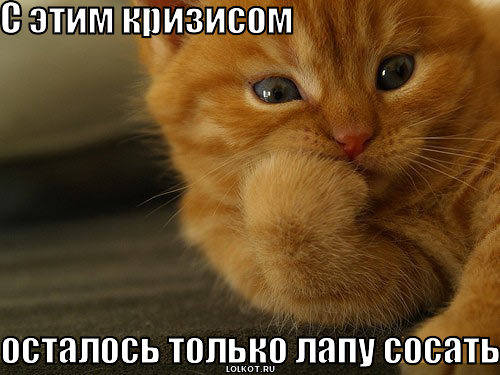 http://images.vfl.ru/ii/1331908334/5ea7e8f3/399524_m.jpg
