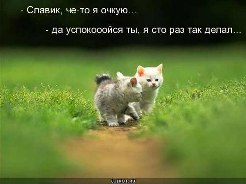 http://images.vfl.ru/ii/1332046329/0bedd988/403756_m.jpg