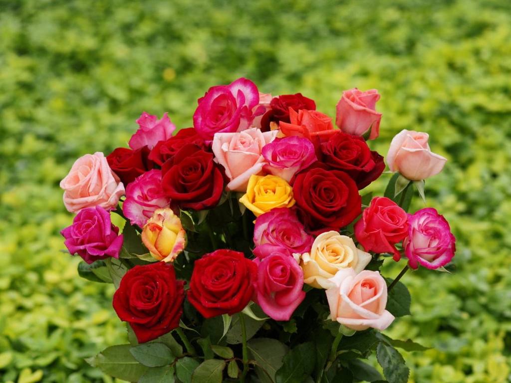 wallpapersrosebouquetdsah
