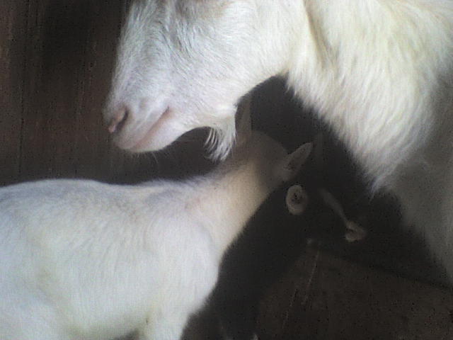 Изображение 425