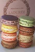 Laduree-Macaroons