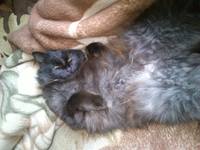 VFL.RU - ваш фотохостинг