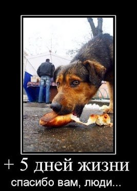 VQJ5CDnlZko