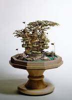 1x1.fi Bonsai by Takanori Aiba 011-625x859