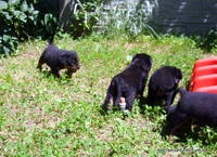 VFL.RU - ваш фотохостинг