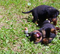 VFL.RU - ваш фотохостинг