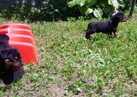 VFL.RU - ваш фотохостинг