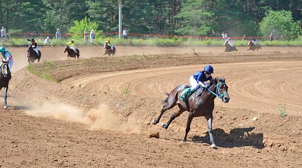 конно-спортивная школа тулпар набережные челны. рысистые бега на московском ипподроме. каток казань ипподром. ипподром набережные челны каток. ипподром набережные.