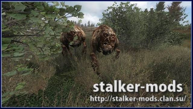 Stalker-COP