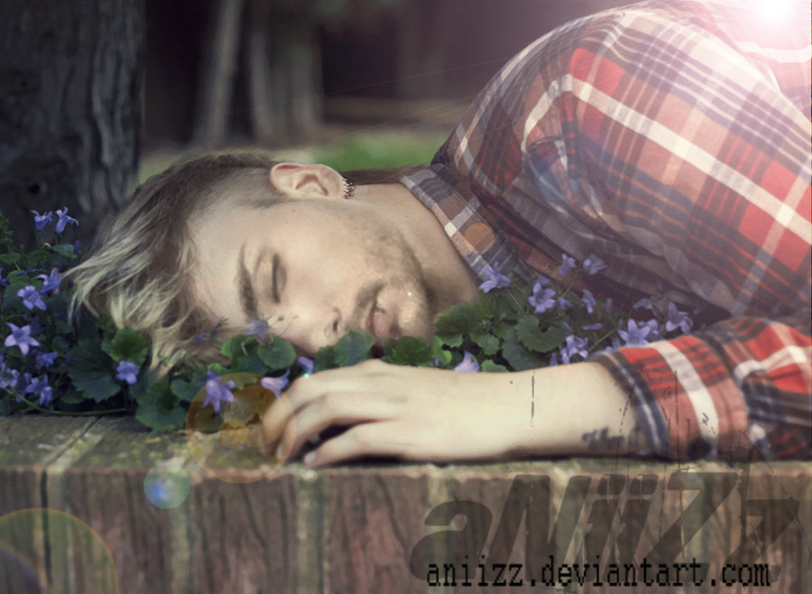 http://fc05.deviantart.net/fs71/i/2012/192/4/f/such_a_sleeping_beauty_by_aniizz-d56wyv7.jpg