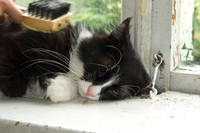 VFL.RU - ваш фотохостинг