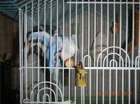 VFL.RU - ваш фотохостинг