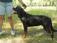 Анжи 31.07.12 (8)