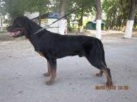 Ахилл 31.07.12 (1)