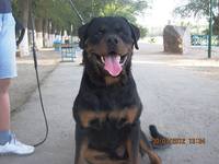 Ахилл 31.07.12 (5)