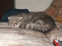 VFL.RU - ваш фотохостинг