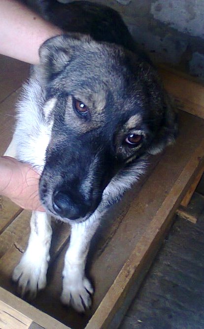 Photo0366