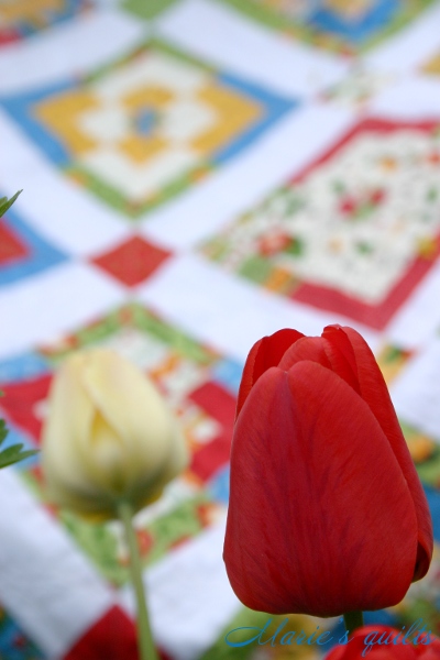quilt monpanse pic7
