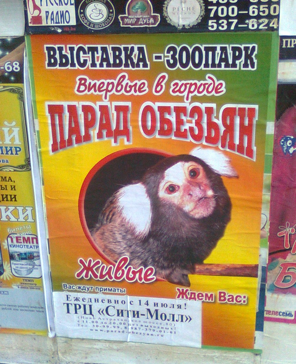 ж