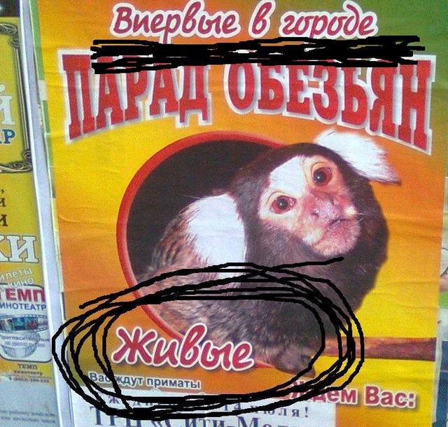 жж