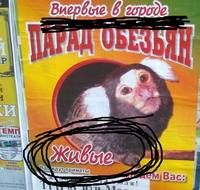 жж