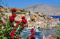 symi 0288