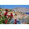 symi 0288