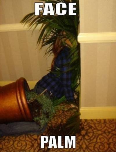 palm