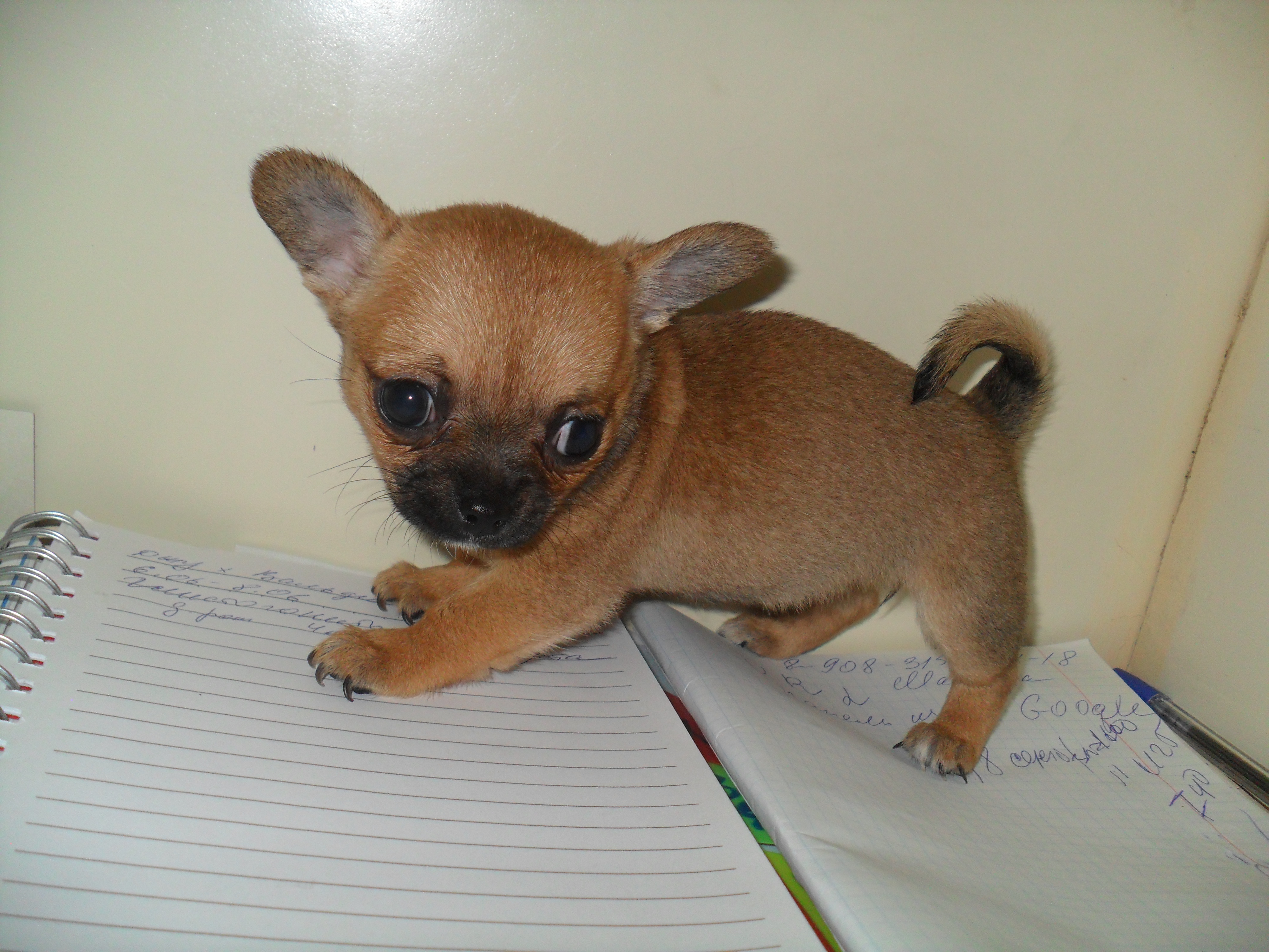 Изображение 1143