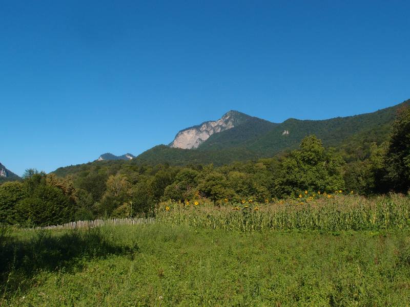 Абхазия 2012 2307