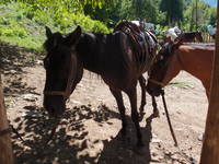 Абхазия 2012 2305