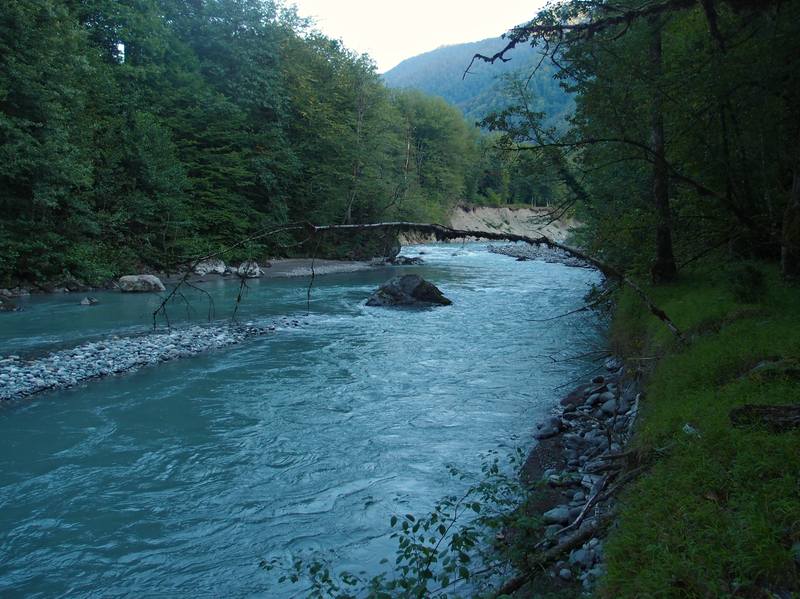 Абхазия 2012 046