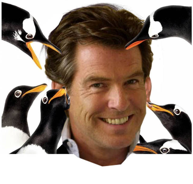 pingvin