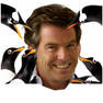 pingvin